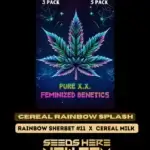 Cereal Rainbow Splash S1 (Feminized) - Pure XX