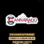 Charcuterie (Regular) - Cannarado Genetics
