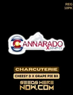 Charcuterie Regular Seeds (space) Cheesy D x Grape Pie BX (space) Cannarado Genetics
