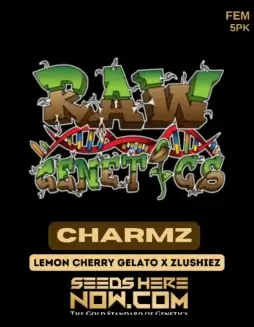 Charmz Feminized Seeds (space) Sativa Dominant Hybrid by Raw Genetics