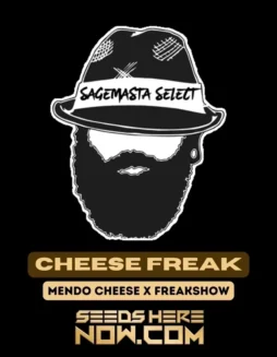 Cheese Freak cannabis seeds (space) a hybrid strain with Mendo Cheese and Freakshow genetics
