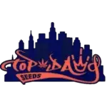 Chem 3D (Regular) - Top Dawg Seeds