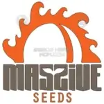 Chem 541 2.0 (Regular) - Massive Seeds