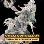Chem Cornelian (Regular) - Lucky Dog Seed Company