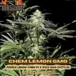 Chem Lemon GMO (Regular) - Massive Seeds