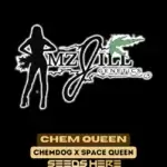 Chem Queen (Regular) - Mz Jill Genetics