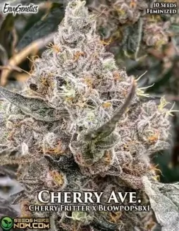 Packaging of Cherry Ave. Feminized Seeds by Envy Genetics featuring Cherry Fritter and BlowPops BX1 lineage