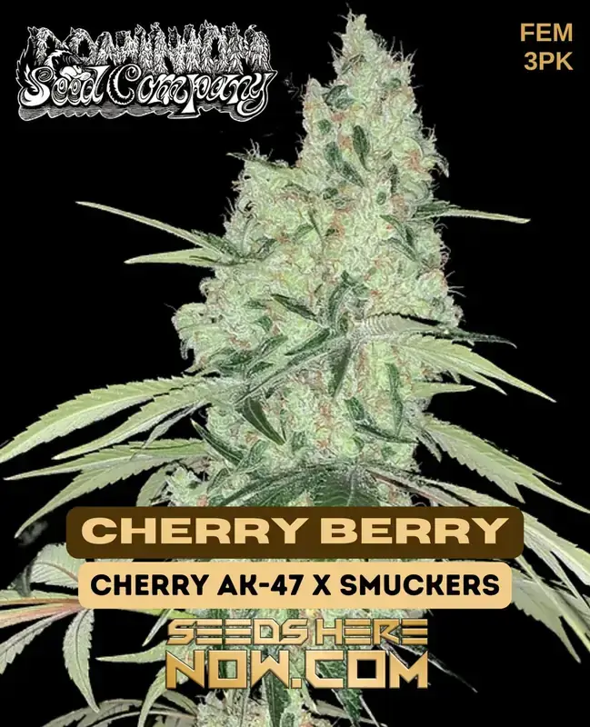 Cherry Berry Feminized Seeds - A Hybrid Strain by Dominion Seed Company