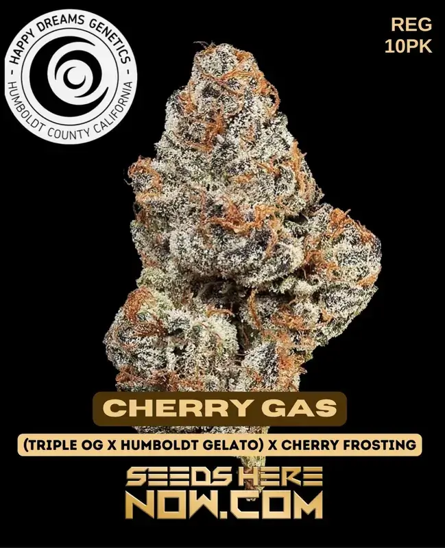Cherry Gas cannabis seeds by Happy Dreams Genetics featuring Triple OG, Humboldt Gelato, and Cherry Frosting lineage