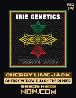 Cherry Lime Jack cannabis seeds by Irie Genetics featuring Cherry Widow and Jack The Ripper genetics