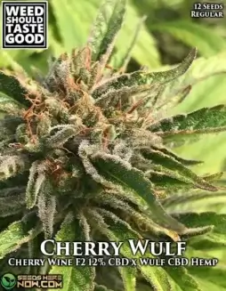 Cherry Wulf Regular Seeds (space) Hybrid Cannabis by Weed Should Taste Good