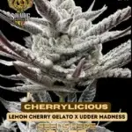 Cherrylicious (Feminized) - Solfire Gardens
