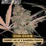 Chi - Chi’s (Regular) - Dominion Seed Company