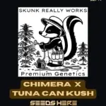 Chimera x Tuna Can Kush (Regular) - Skunk Really Works