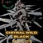 Chitral Wild Black (Regular) - Indian Landrace Exchange