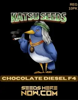 Chocolate Diesel F4 Regular Seeds (space) Hybrid Cannabis by Katsu Seeds