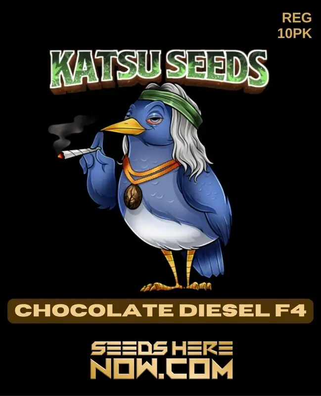 Chocolate Diesel F4 Regular Seeds - Hybrid Cannabis by Katsu Seeds