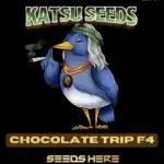 Chocolate Trip F4 (Regular) - Katsu Seeds