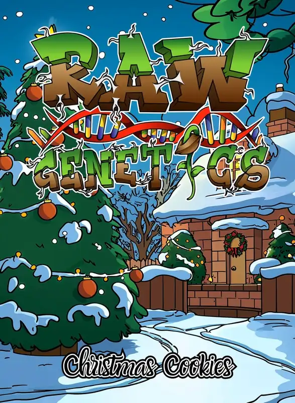 Feminized Christmas Cookies Box Set Cannabis Seeds by Raw Genetics
