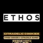 Citradelic Cookies (Feminized) - Ethos Genetics