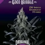 Coco Bubble (Regular) - DJ Short Seeds