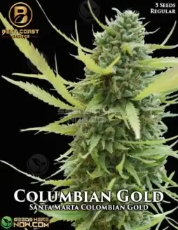 Colombian Gold regular seeds pack by Best Coast Genetics featuring earthy, citrus, pine aromas