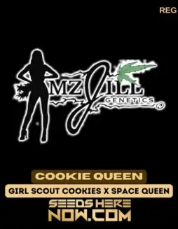 Close(space)up of Cookie Queen cannabis seeds by Mz Jill Genetics