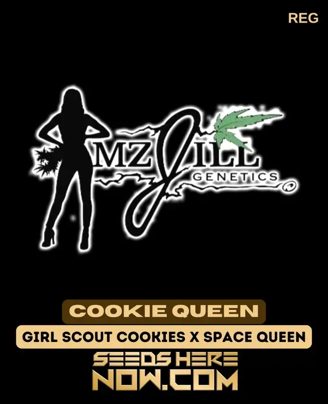 Close-up of Cookie Queen cannabis seeds by Mz Jill Genetics