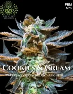 Cookies & Cream S1 Feminized Seeds (space) Hybrid Cannabis Strain by Elite Clone Seed Company
