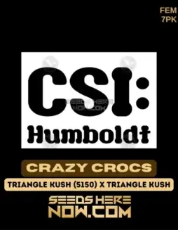 Crazy Crocs Feminized Seeds (space) Indica Dominant Hybrid, High THC