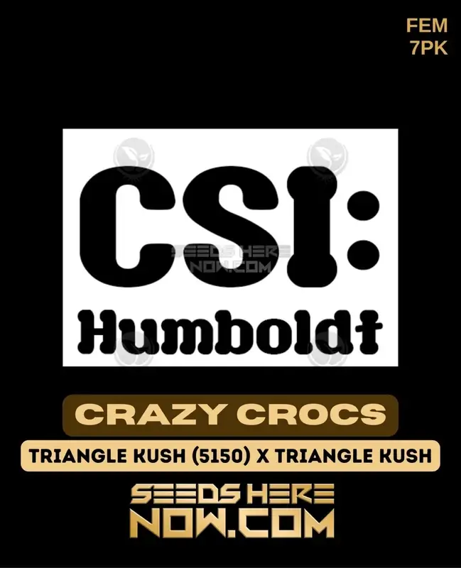 Crazy Crocs Feminized Seeds - Indica Dominant Hybrid, High THC