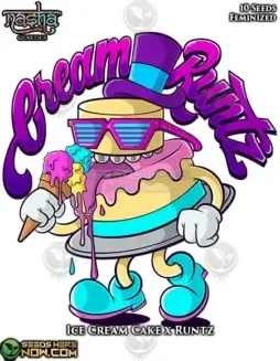Cream Runtz Cannabis Seeds by Nasha Genetics featuring Ice Cream Cake and Runtz lineage