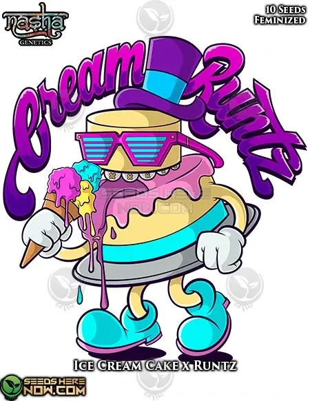 Cream Runtz Cannabis Seeds by Nasha Genetics featuring Ice Cream Cake and Runtz lineage