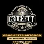 Crocketts Autodog (Autoflower) - Crockett Family Farms