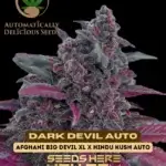 Dark Devil (Autoflower) - Automatically Delicious
