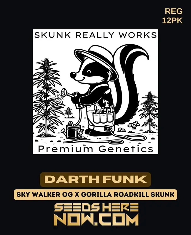 Darth Funk Regular Seeds - A Hybrid of Skywalker OG and Gorilla Roadkill Skunk with 25% THC