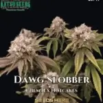 Dawg Slobber (Regular) - Katsu Seeds