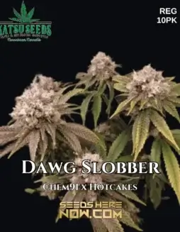 Dawg Slobber Cannabis Seeds by Katsu Seeds featuring Chem 91 and Hotcakes lineage