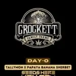 DAY - O (Feminized) - Crockett Family Farms