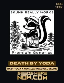 Close(space)up of Death by Yoda cannabis seeds, a powerful hybrid strain by Skunk Really Works