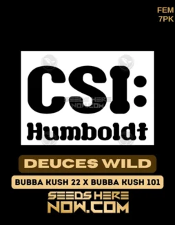 Deuces Wild Cannabis Seeds by CSI Humboldt (space) Feminized Hybrid Strain