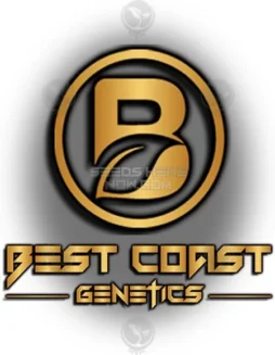 DGC Souvenir regular cannabis seeds by Best Coast Genetics featuring 20(space)24% THC and sativa dominance.