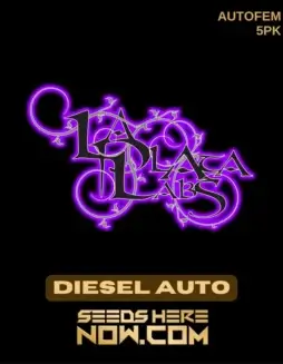 Packaging of Diesel Auto Autoflower Seeds by La Plata Labs