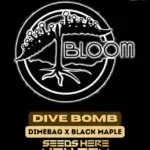 Dive Bomb (Regular) - Bloom Seed Co.