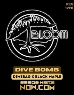 Dive Bomb Regular Seeds (space) Hybrid strain by Bloom Seed Co. featuring citrus, pine, and earthy diesel aromas