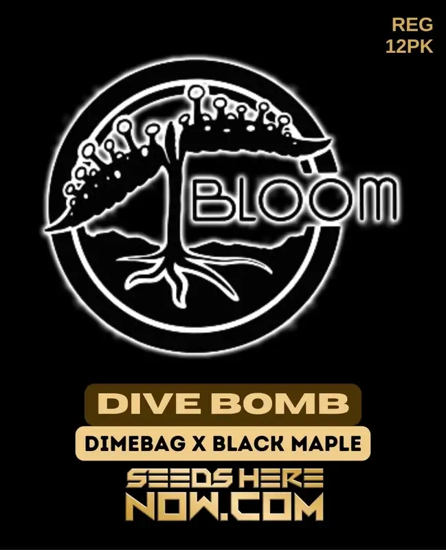 Dive Bomb Regular Seeds - Hybrid strain by Bloom Seed Co. featuring citrus, pine, and earthy diesel aromas