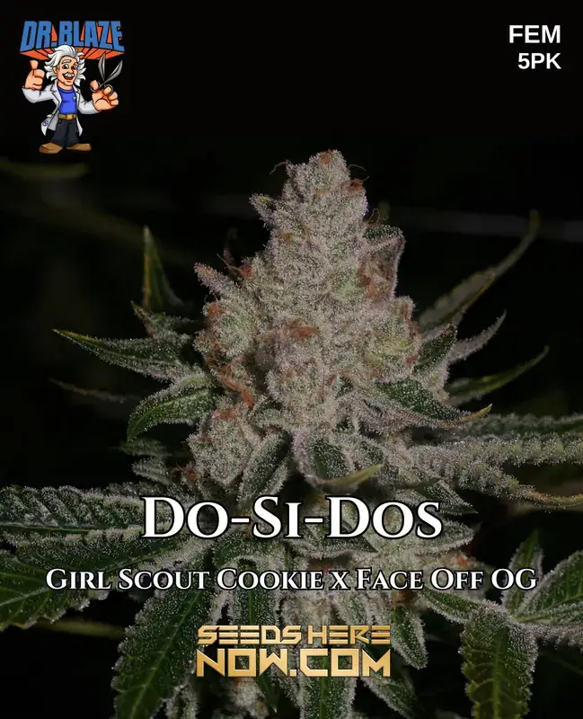Packaging of Do-Si-Do S1 Feminized Seeds by Dr. Blaze featuring Girl Scout Cookies and Face Off OG lineage