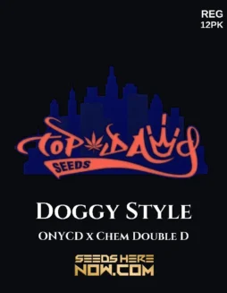 Doggy Style regular seeds by Top Dawg Seeds featuring ONYCD x Chem DD lineage