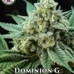 Dominion G (Regular) - Dominion Seed Company