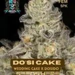 Dosi Cake S1 * (Wedding Cake x Do - Si - Do) (Feminized) - Elite Clone Seed Company